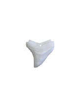 Shark Tooth, Mother Of Pearl, M4457