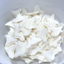 Shark Tooth, Mother Of Pearl, M4457