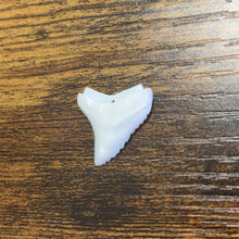 Shark Tooth, Mother Of Pearl, M4457