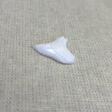 Shark Tooth, Mother Of Pearl, M4457