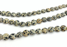 Dalmatian Jasper Bead Strand Sku#M2849