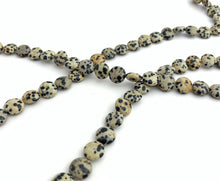 Dalmatian Jasper Bead Strand Sku#M2849