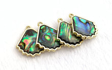 Abalone Charm Sku#M1233