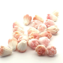 Conch Shell Medium Pikake Small Hole Beads