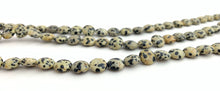 Dalmatian Jasper Bead Strand Sku#M2849