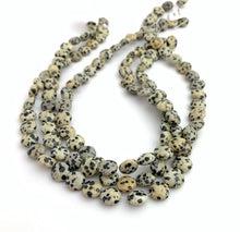 Dalmatian Jasper Bead Strand Sku#M2849