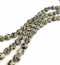 Dalmatian Jasper Bead Strand Sku#M2849