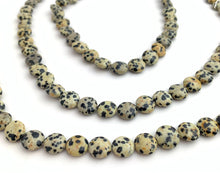 Dalmatian Jasper Bead Strand Sku#M2849