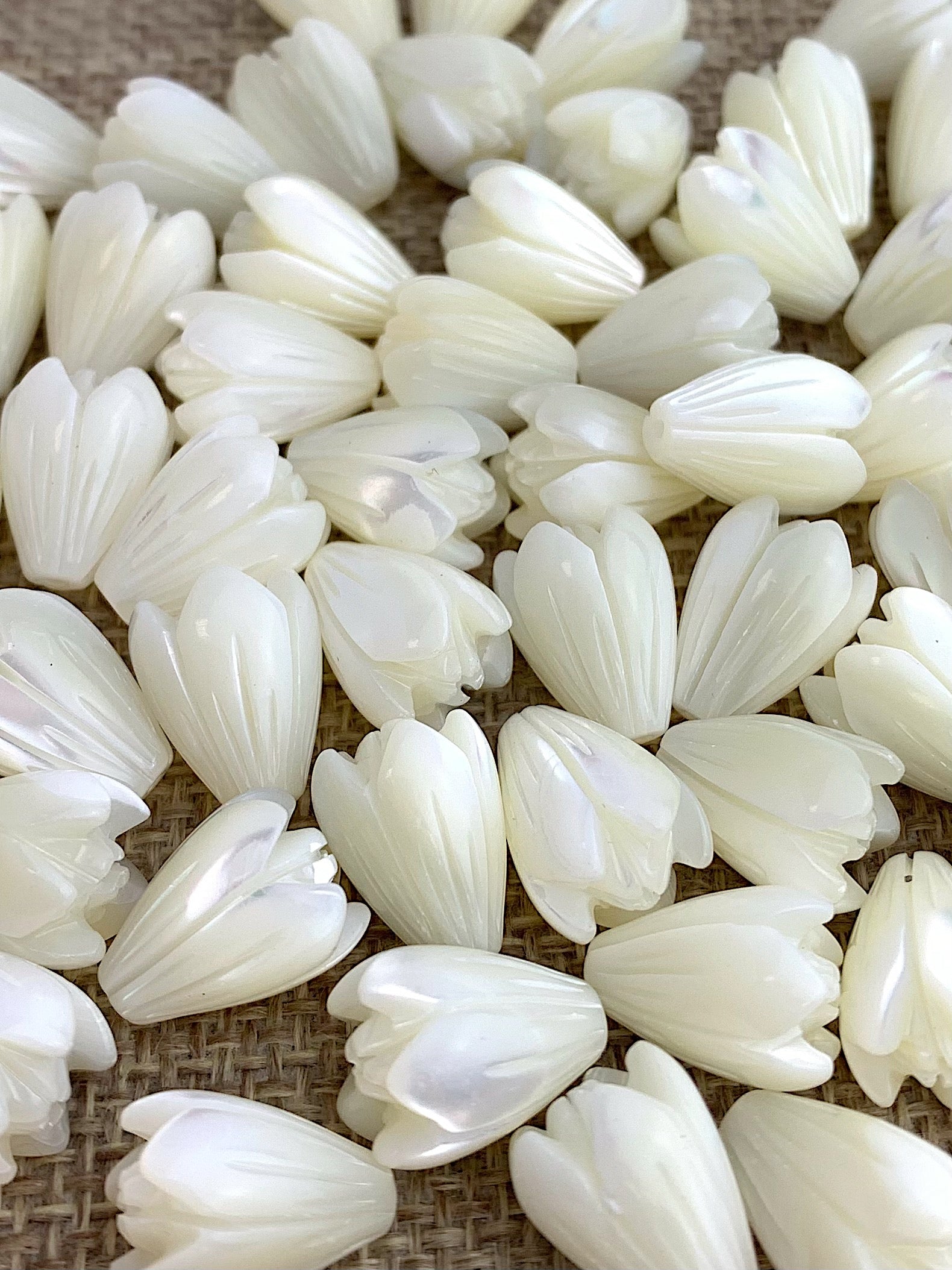 Mother of Pearl White Large 2.5 Hole Pikake Beads – Aloha Pearls