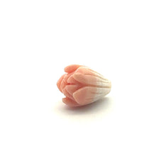 Conch Shell Medium Pikake Small Hole Beads