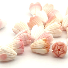 Conch Shell Medium Pikake Small Hole Beads