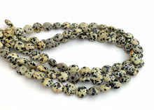 Dalmatian Jasper Bead Strand Sku#M2849