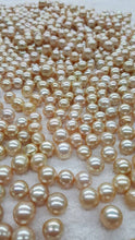 Champagne South Sea Pearls button, Wholesale Pearls