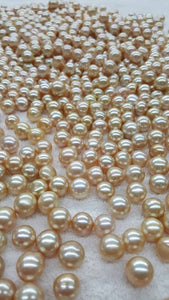 Champagne South Sea Pearls button, Wholesale Pearls