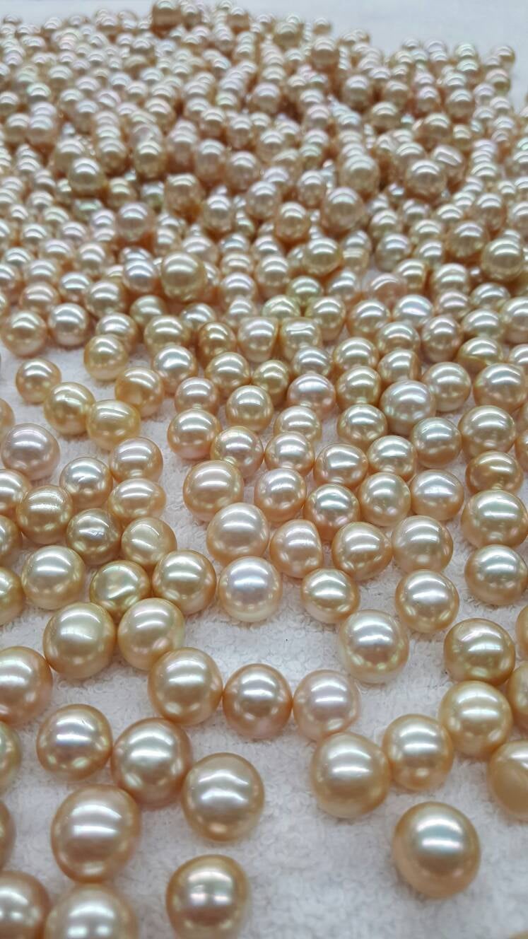 Champagne South Sea Pearls button, Wholesale Pearls
