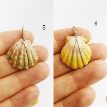 Sunrise Shell Wire Wrapped Pendants from Hawaii - Natural Color - Sunrise Shells - Sunnies (390 No. 1-10)