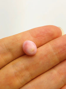 Conch Pearl Loose 10.9mm x 8.9mm No. 2