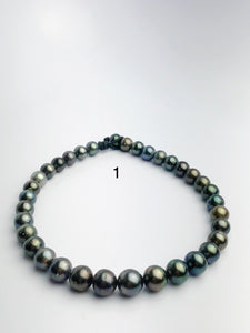 BIG 16mm Round Tahitian Pearl Necklace on Leather Cord, 12 - 16mm (286)