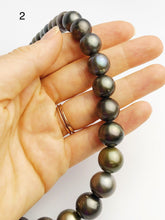 BIG 16mm Round Tahitian Pearl Necklace on Leather Cord, 12 - 16mm (286)