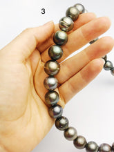 BIG 16mm Round Tahitian Pearl Necklace on Leather Cord, 12 - 16mm (286)