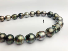 EXTRA BIG 17mm Tahitian Pearl Necklace on Leather 15 - 17mm (282)