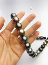 EXTRA BIG 17mm Tahitian Pearl Necklace on Leather 15 - 17mm (282)