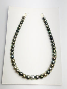 Loose Tahitian Pearls Set, Multicolor, Wholesale - Only 17 per pearl - AA Quality (237)