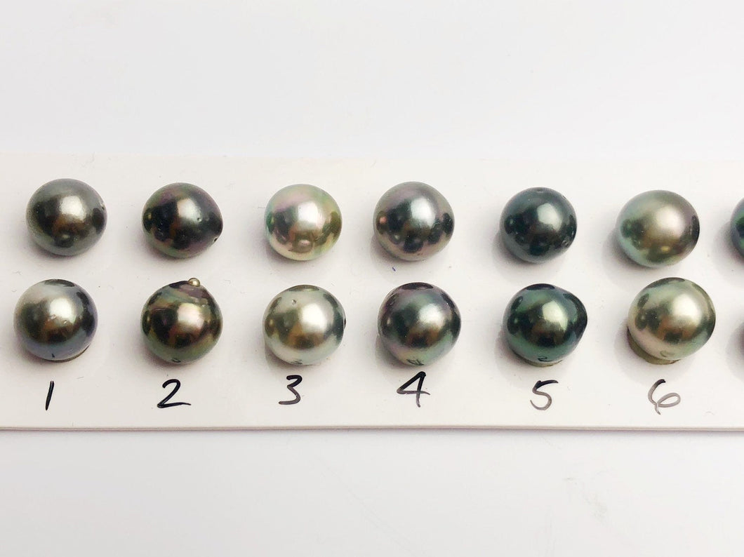 10-10.5mm Tahitian AA Loose Matched Pearls, 10mm Semi-Round (204)