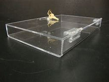 Acrylic Case w/ Lock