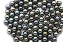 Small 7mm Tahitian Pearls, Round Dark Loose Pearls (105)