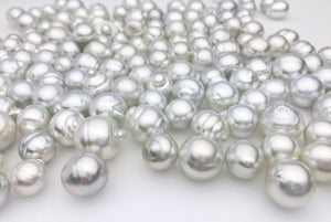 Silver South Sea, AAA, 10mm to 15mm, SB, Loose Pearls (198)