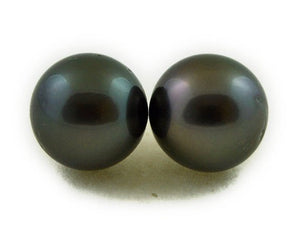 Tahitian pearls stud earrings 8mm 9mm 10mm (026)