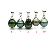 9mm Tahitian Pearl Pendants on Silver (116)