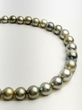 Loose Tahitian Pearls Set, Multicolor, Wholesale - Only 19 per pearl - AA Quality (218)