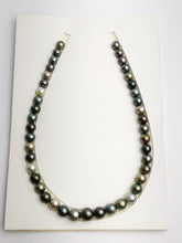 Loose Tahitian Pearls Set, Multicolor, Wholesale - Only 19 per pearl - AA Quality (219)