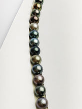 Loose Tahitian Pearls Set, Multicolor, Wholesale - Only 19 per pearl - AA Quality (219)