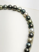 Loose Tahitian Pearls Set, Multicolor, Wholesale - Only 19 per pearl - AA Quality (219)