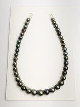 Loose Tahitian Pearls Set, Multicolor, Wholesale - Only 21 per pearl - A Quality (222)
