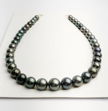 Loose Tahitian Pearls Set, Multicolor, Wholesale - Only 21 per pearl - A Quality (222)