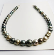 Loose Tahitian Pearls Set, Multicolor, Wholesale - Only 24 per pearl - A Quality (225)