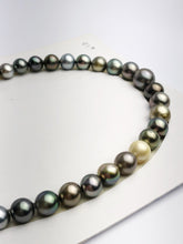 Loose Tahitian Pearls Set, Multicolor, Wholesale - Only 18 dollars per pearl - AA Quality (241)