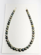 Loose Tahitian Pearls Set, Multicolor, Wholesale - Only 19 dollars per pearl - AA Quality (246)