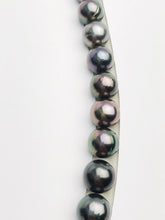 Loose Tahitian Pearls Set, Multicolor, Wholesale - Only 22 dollars per pearl - AA Quality (249)