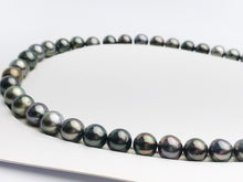 Loose Tahitian Pearls Set, Multicolor, Wholesale - Only 22 dollars per pearl - AA Quality (249)