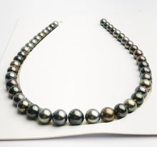 Loose Tahitian Pearls Set, Multicolor, Wholesale - Only 22 dollars per pearl - AA Quality (249)