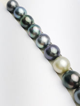 Loose Tahitian Pearls Set, Multicolor, Wholesale - Only 17 dollars per pearl - AA Quality (251)