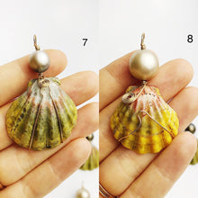 Sunrise Shell Wire and Pearl Pendants from Hawaii - Natural Color - Sunrise Shells - Sunnies (386 No. 1-10)
