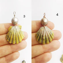 Sunrise Shell Wire and Pearl Pendants from Hawaii - Natural Color - Sunrise Shells - Sunnies (388 No. 1-10)
