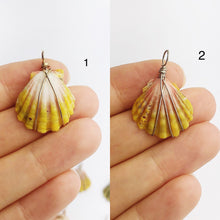 Sunrise Shell Wire Wrapped Pendants from Hawaii - Natural Color - Sunrise Shells - Sunnies (391 No. 1-10)
