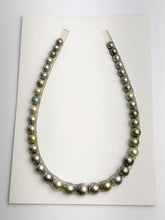 Loose Tahitian Pearls Set, Multicolor, Wholesale - Only 19 per pearl - AA Quality (218)